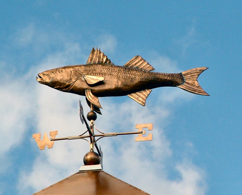 bass with lure weathervane Striped Bass Weathervane 44" – The Weather Store