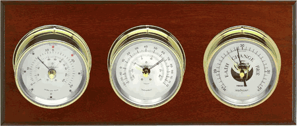Montauk 2-S Weather Station - Wind, Barometer & Thermometer