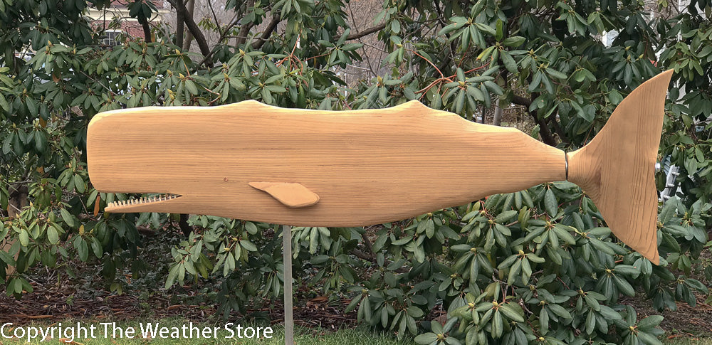 Large Nantucket Sperm Whale Whirligig by Parke Madden – The