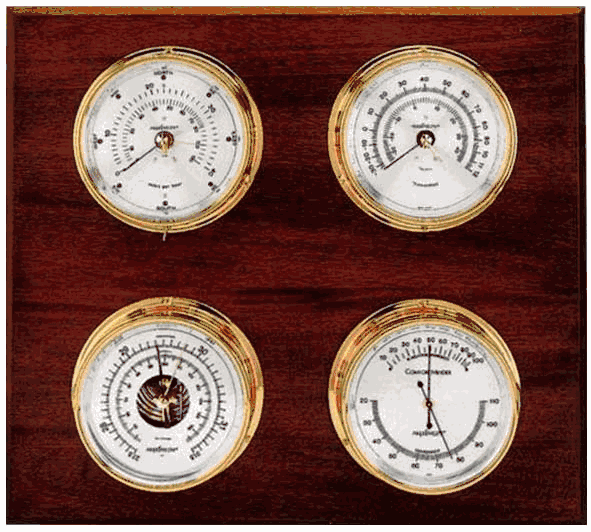 Observer Meter Observer Weather Station - Wind, Barometer, Thermometer & Hygrometer ...