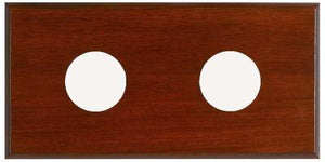 Two Instrument Board